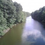 bronx river zoo.jpg (128 KB)